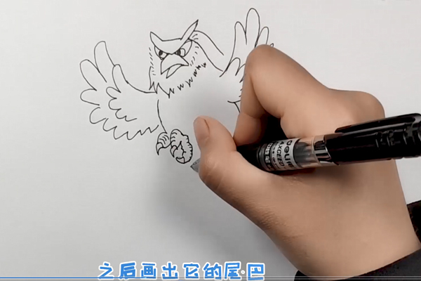 老鹰简笔画