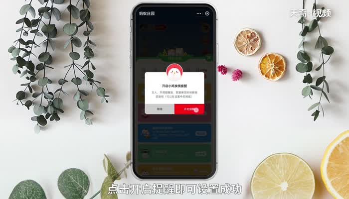 怎么开通小鸡挨饿提醒 小鸡挨饿提醒开通方法