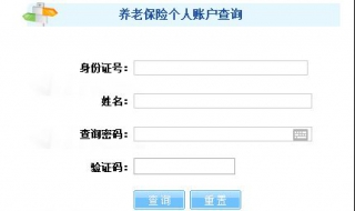 养老金怎么查询 如何查询