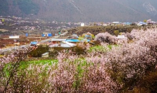 桃花源古镇旅游攻略 感受几千年“陶渊明隐世文化”