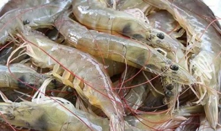 新鲜虾如何保存 放多久都不坏,随吃随鲜