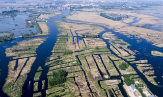 雄安新区旅游攻略 为大家介绍雄安新区的旅游景点