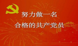 如何做一名合格党员 成为合格党员的基本要求