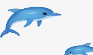 海豚 简笔画--海豚