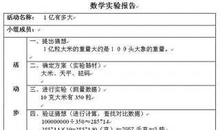 实验报告格式 如何写实验报告