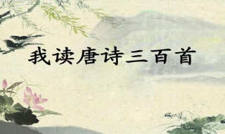 唐诗三百首： 新嫁娘词(王建)赏析