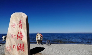 青海湖在哪里 游览技巧有什么？