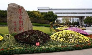 上海大学秋菊展 满园秋色送给喜爱菊花的你