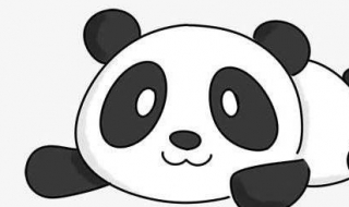 大熊猫怎么画？简笔画法分享