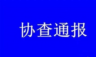 刑事案件协查通报怎么制作 有哪些步骤？