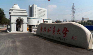 东北林业大学生活学习条件大全，提前了解基本情况