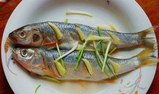 清蒸华子鱼的做法 美味可口简单易做