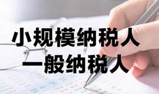 一般纳税人和小规模纳税人有什么区别 看完你就清楚了