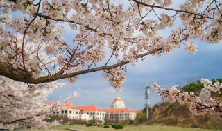 中国海洋大学 玩在海洋大学