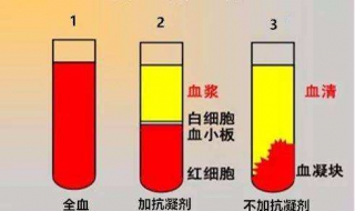 血浆和血清的区别 有什么不一样？