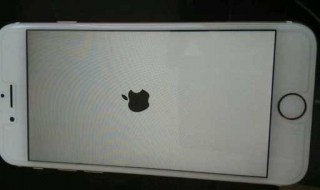 iPhone手机变成白苹果了怎么办 分享给大家