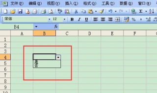 如何在excel中设置下拉菜单？大家可以了解一下