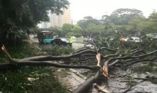 台风来了怎么办？台风天气注意事项