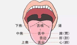 舌裂预示什么疾病 有这种情况该注意了