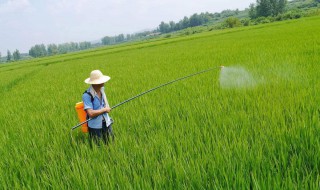 有机磷农药有哪些 根据毒性可分为高毒、中毒、低毒