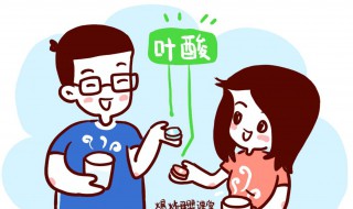 叶酸男人要补吗 准爸爸也需要补叶酸吗