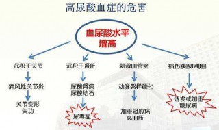 尿酸高有什么表现及危害 分享三类不同时期表现与危害