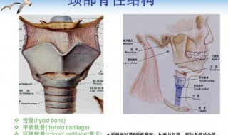 良性颈部淋巴结肿大严重吗 　要怎么治疗