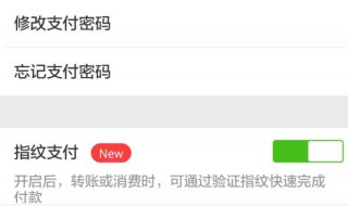 微信指纹支付安全吗 你使用指纹支付了吗