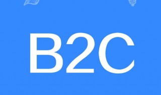 什么是b2c b2c是什么意思