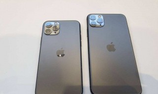 iphone11promax和苹果11pro选那个 区别选择