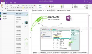 如何使用onenote笔记本软件基本教程 具体操作如下