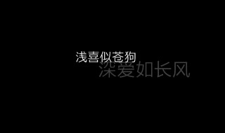 浅喜似苍狗深爱如长风什么意思 请看回答