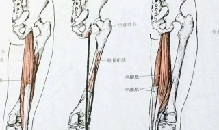 两腿内侧发黑怎么办 两腿内侧发黑的原因以及解决办法