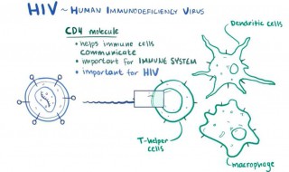 cd4多少为艾滋病 让我来告诉你