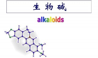 生物碱的功效和作用 生物碱有什么作用?