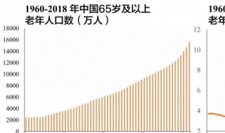 中国平均人口寿命 中国人平均寿命是多少?