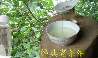 长期擦茶油的好处 长期擦茶油有什么好处