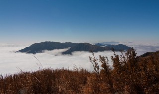 遂川有哪些景点 遂川的景点