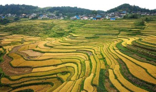 高要梯田在哪里 最佳游玩时间分享