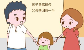 孩子聪明遗传谁 孩子的性格受谁的影响较大