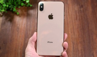 iphone xs和xr有什么区别 屏幕有多大