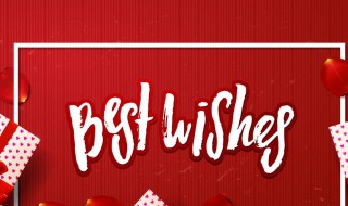 best wishes什么意思 怎么读