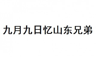 九月九日忆山东兄弟诗 九月九日忆山东兄弟译文和作者