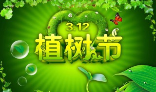 3月12日是什么节？它的发展历史是什么？