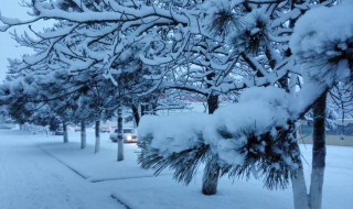 冬天下雪的段子 下雪段子合集