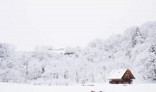 下雪了的句子 希望大家能够喜欢