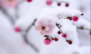 雪的唯美诗句 三十条唯美诗句送给你