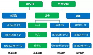 直系亲属包括哪些 答案在这里