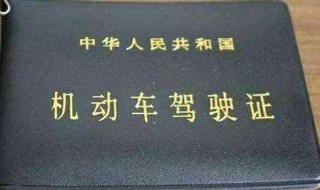 实习期扣12分怎么处理 了解一下