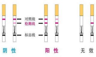 假阳性是什么意思 什么是假阳性